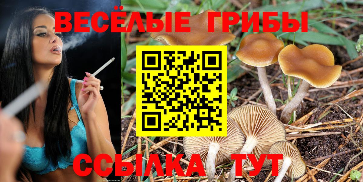 Галлюциногенные грибы Magic Shrooms Мытищи